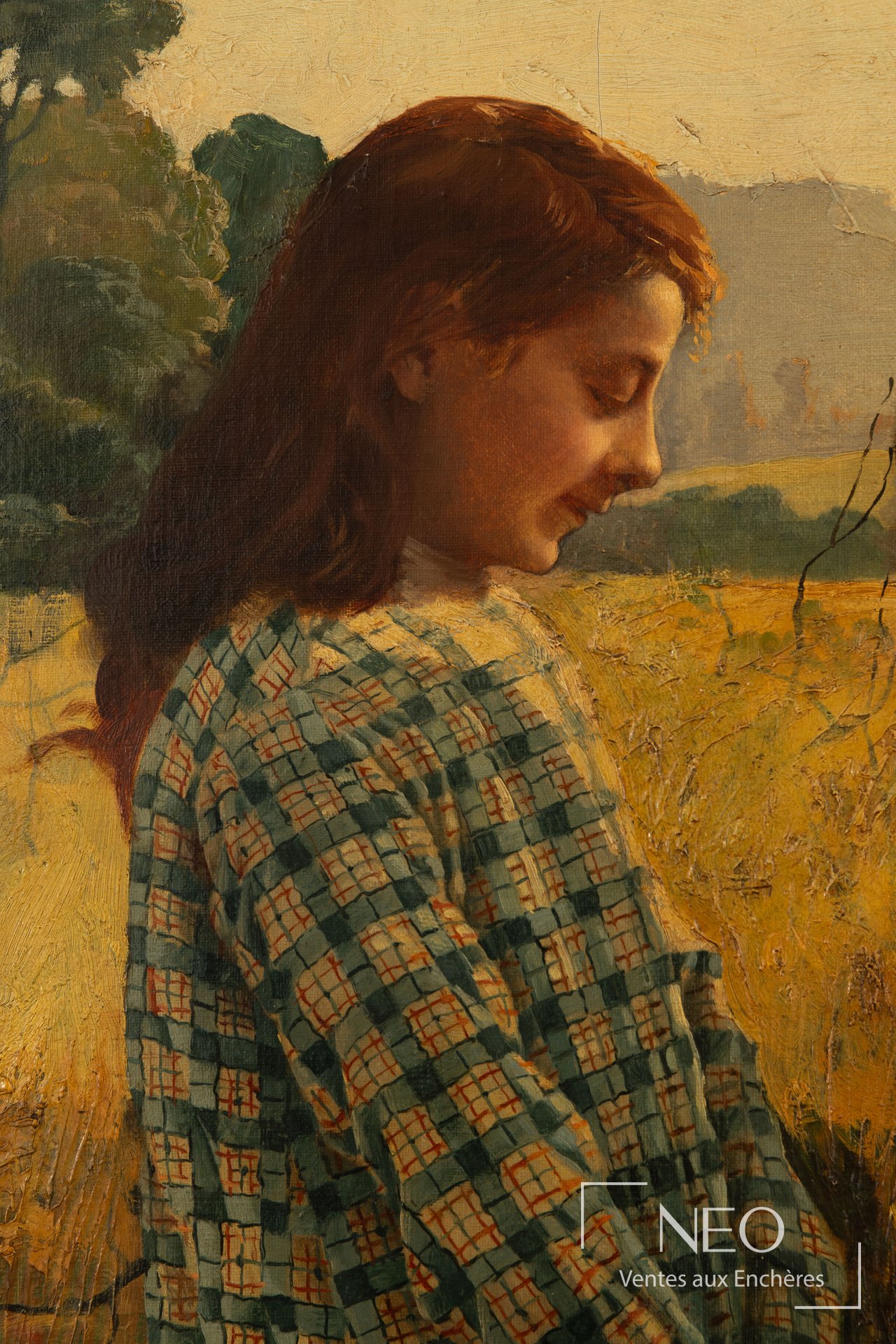 Portrait d une jeune fille rousse de profil dans un champ de blé
